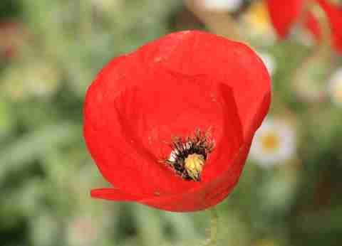 DVA009042.jpg
