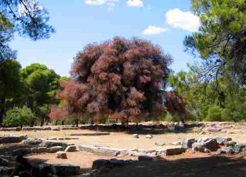 DVA009063.jpg