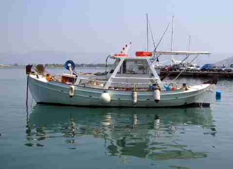 DVA009069.jpg