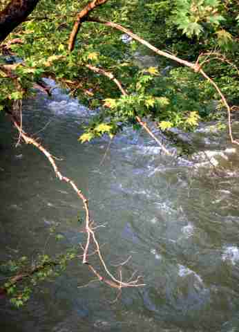 DVA009072.jpg