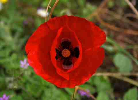 DVA009100.jpg